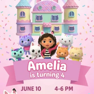 gabby dollhouse birthday invitation