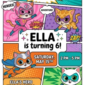 superkitties birthday invitation
