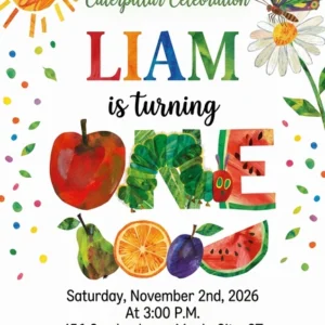 very hungry caterpillar first birthday invitation